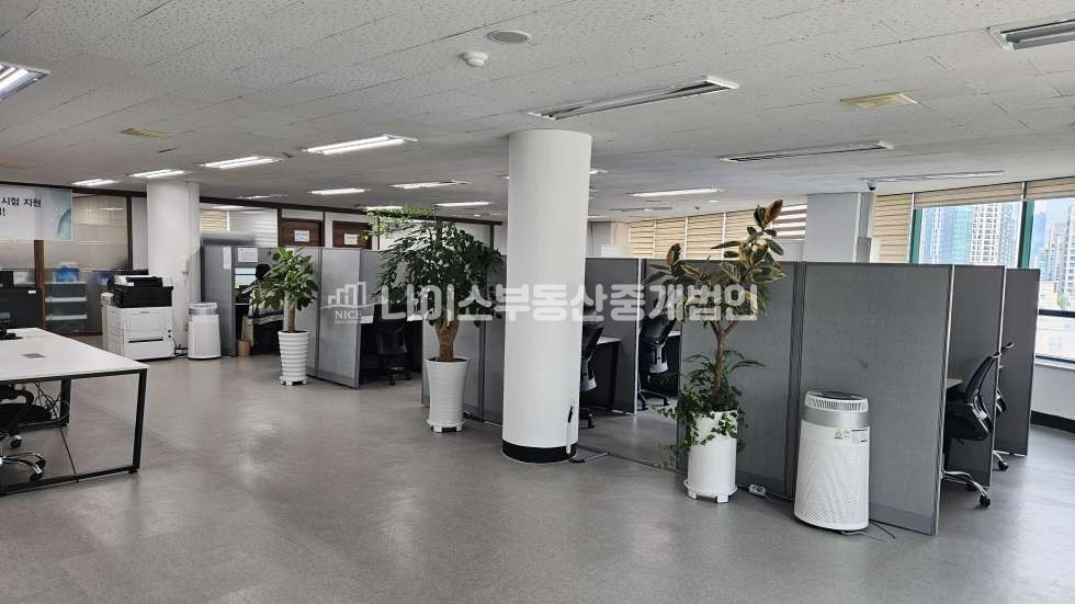 서울 서초구 서초동 실100P,풀인테리어,양재역 초역세권 월세 매물번호 10055 사진 2